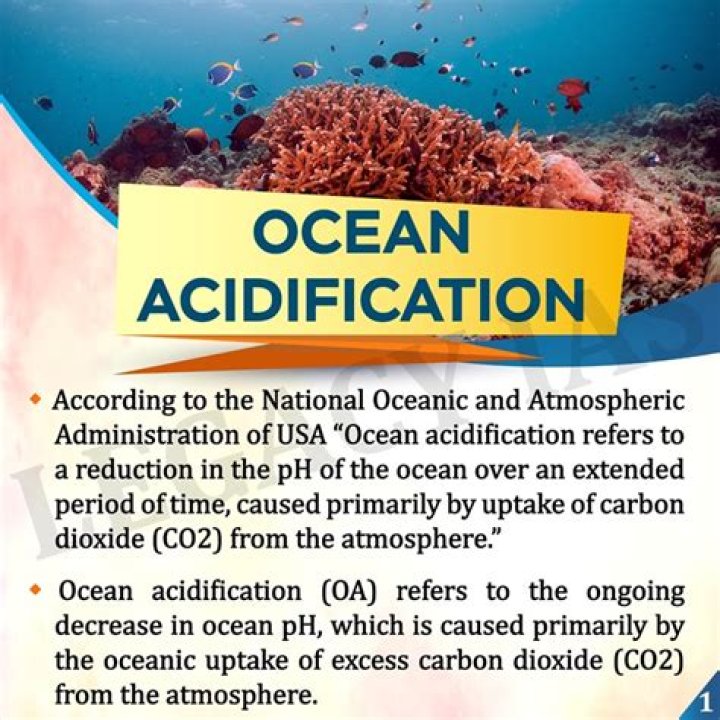 What are three facts about ocean acidification?