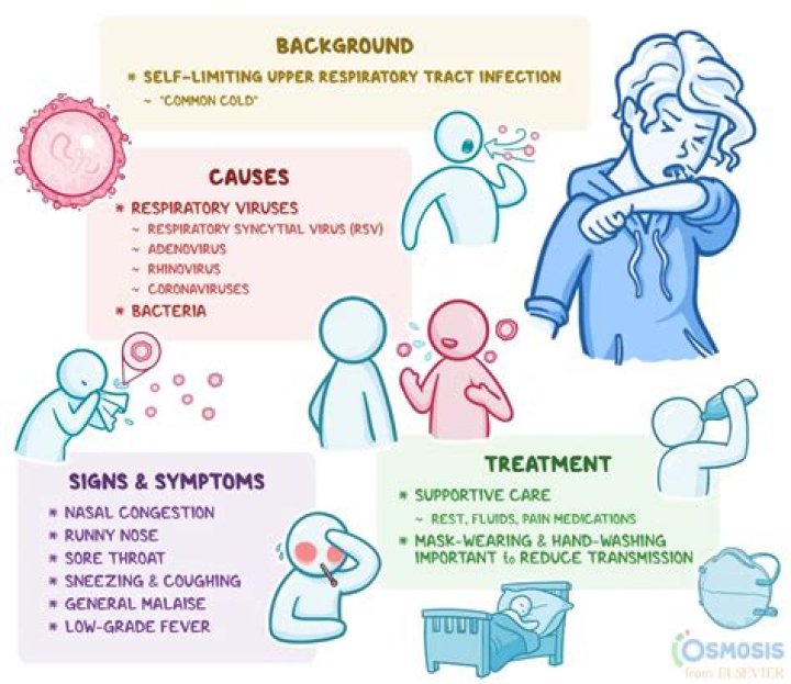What causes nasopharyngitis?