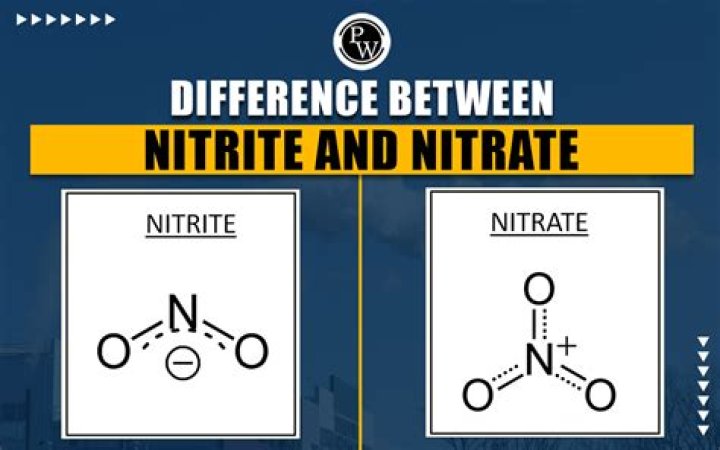 What comes first nitrite or nitrate?