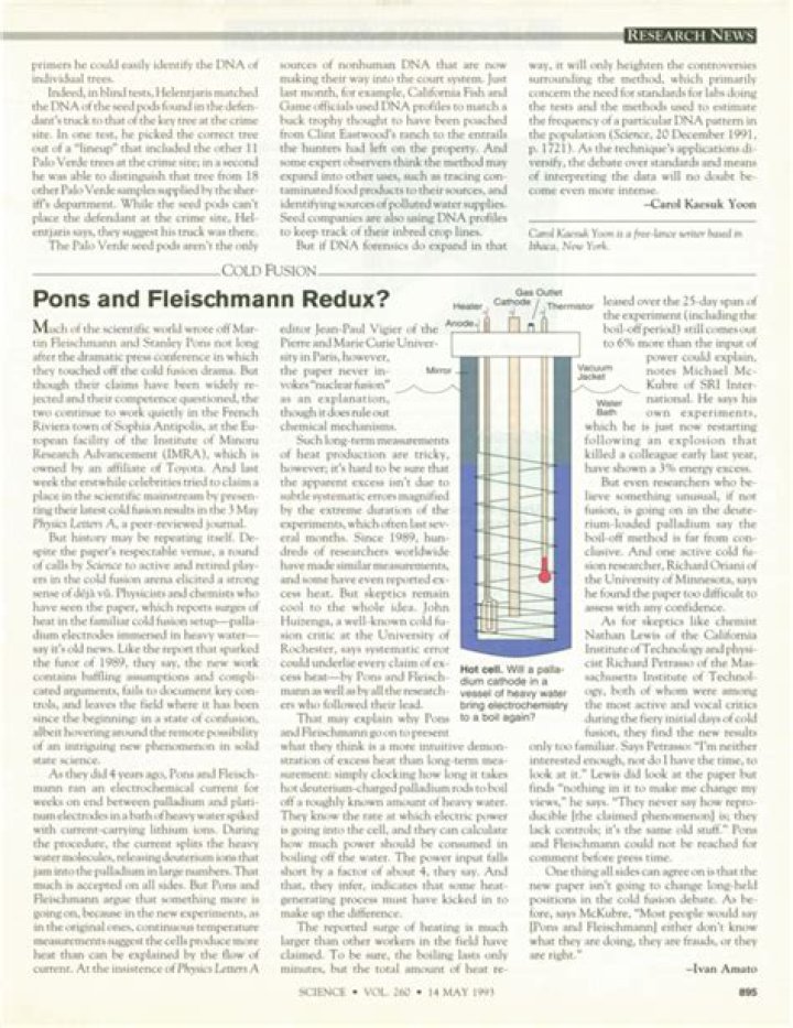What did Pons and Fleischmann do?