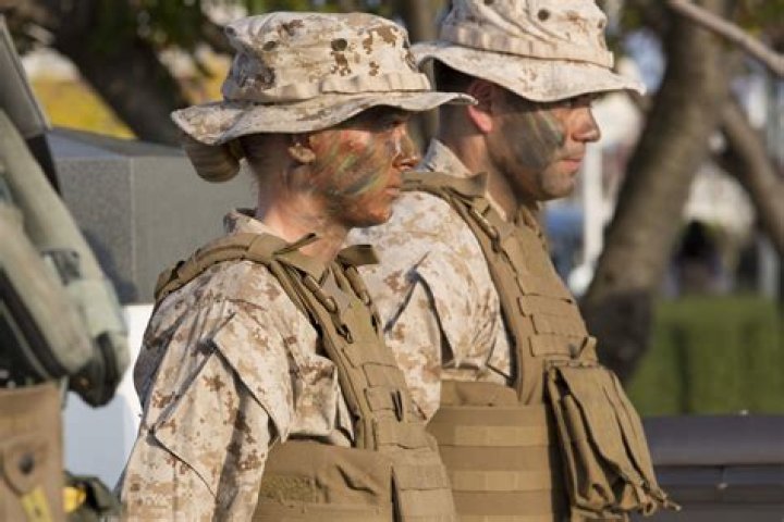 What do Marines do in the fleet?