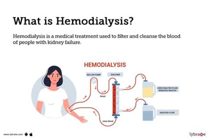 What do you mean by GVH reaction?