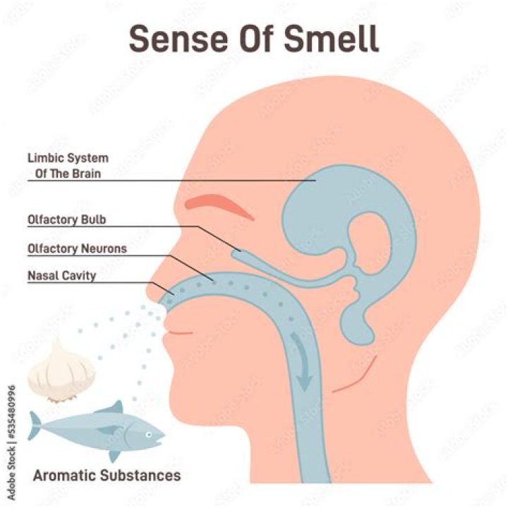 What does Paraldehyde smell like?