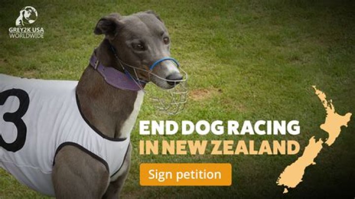 What dogs are banned in NZ?