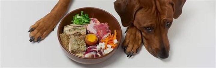 What foods are Yorkies allergic to?