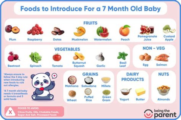 What foods can I give my 7 month old baby?
