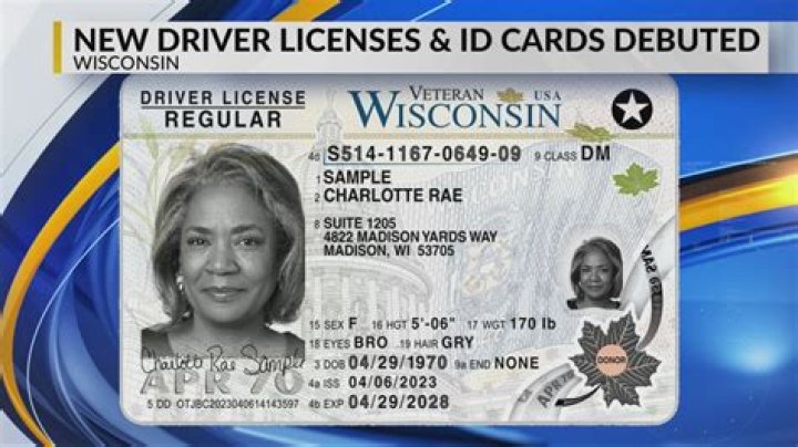 What is a DPI license in Wisconsin?
