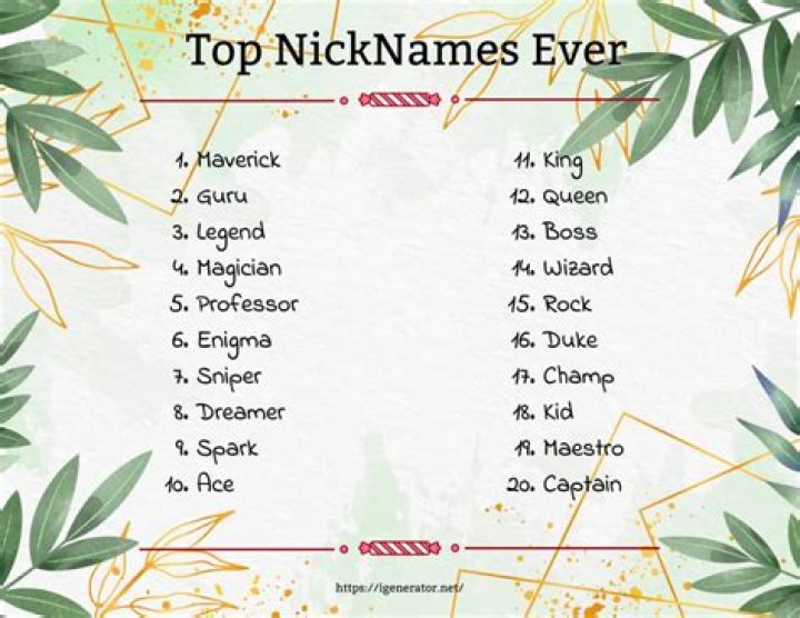 What is a good nickname for Noivern?