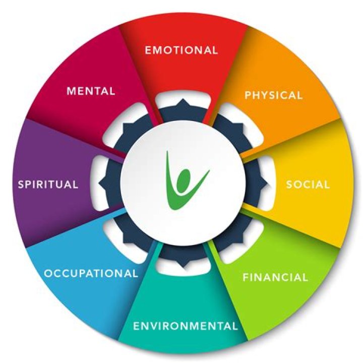 What is a health and wellness initiative?