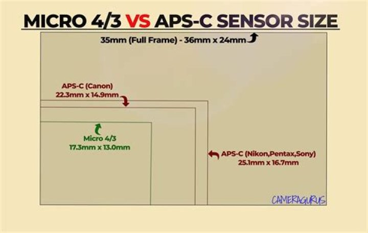What is a micro 4:3 sensor?