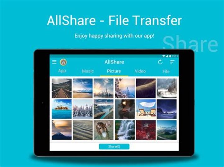What is AllShare fileshare service on my phone?