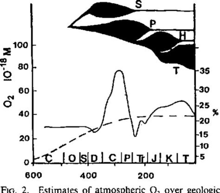 What is bimodal respiration?