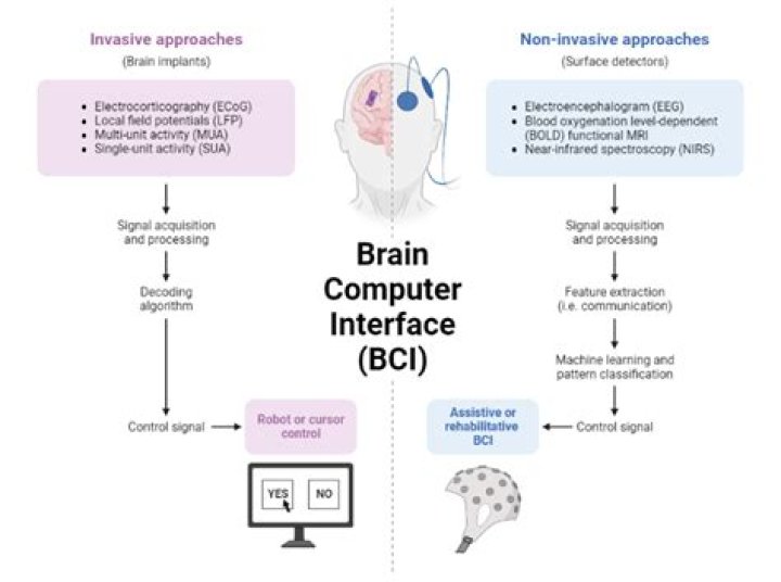 What is brain computer interface used for?