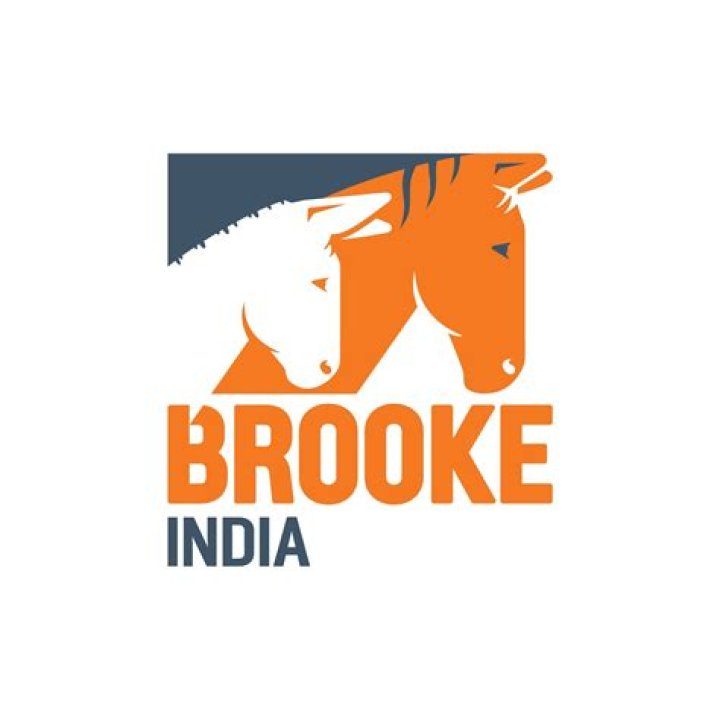 What is Brooke India?