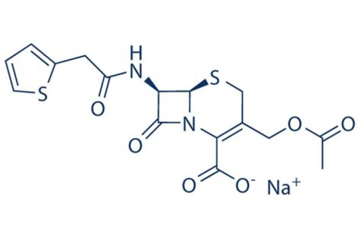 What is cephalothin sodium used for?