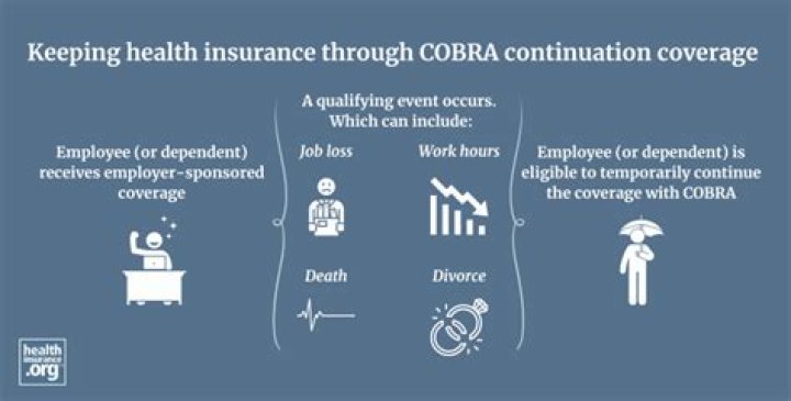 What is Cobra in health care insurance?