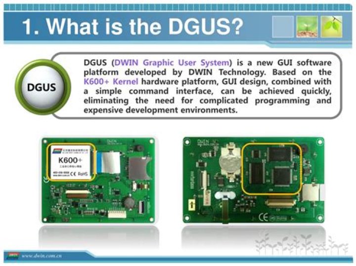 What is DGUS?
