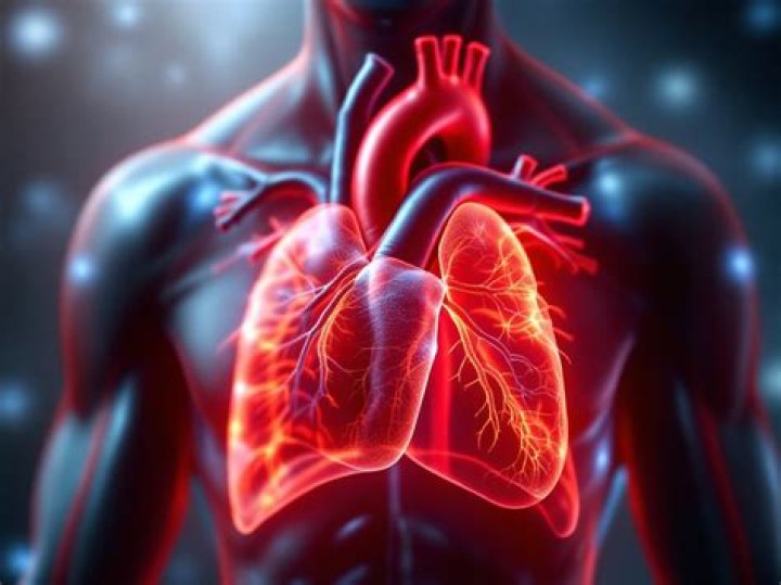 What is fibrinous pericarditis?