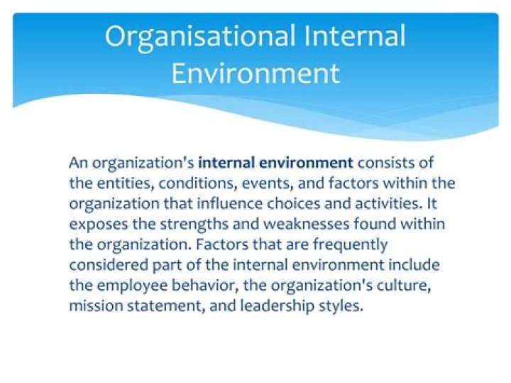 What is organizational internal environment?