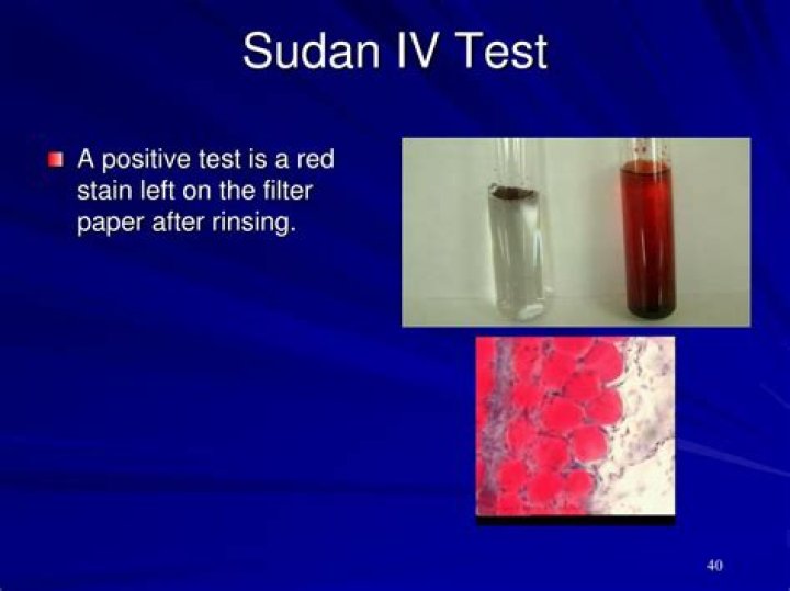 What is Sudan Red An indicator test for?