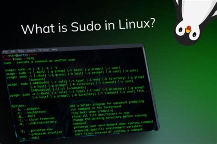 What is sudo in Linux Mint?