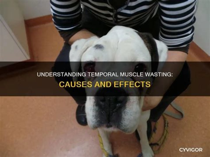 What is temporal muscle wasting?