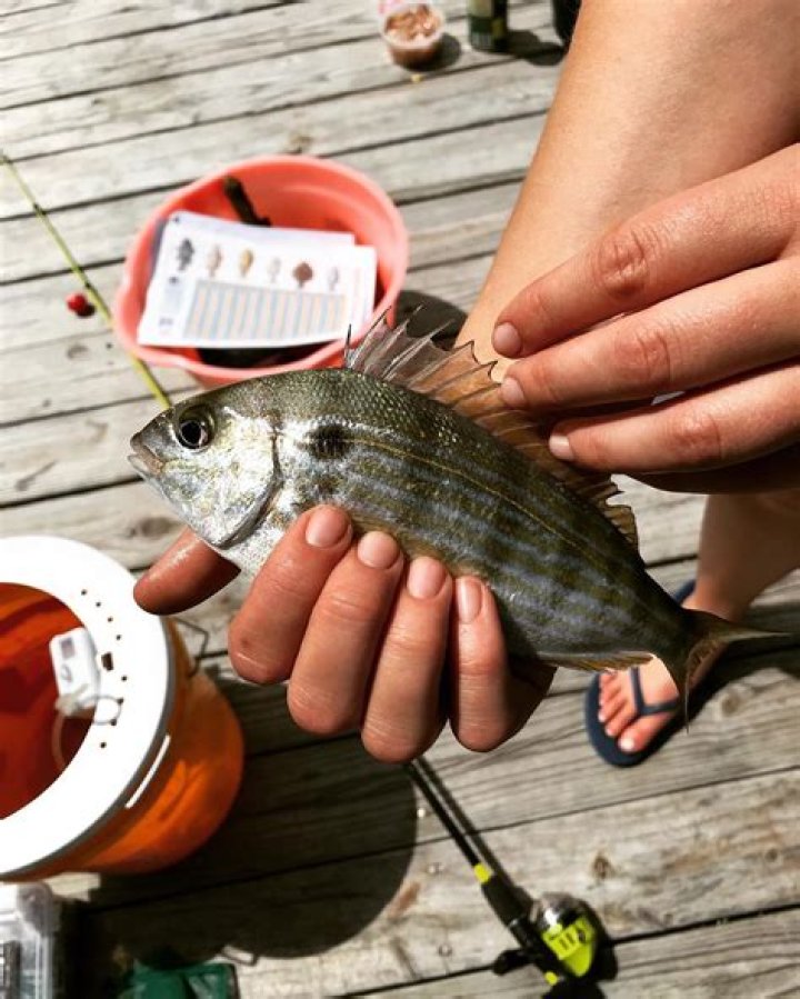 What is the best month to catch grouper?