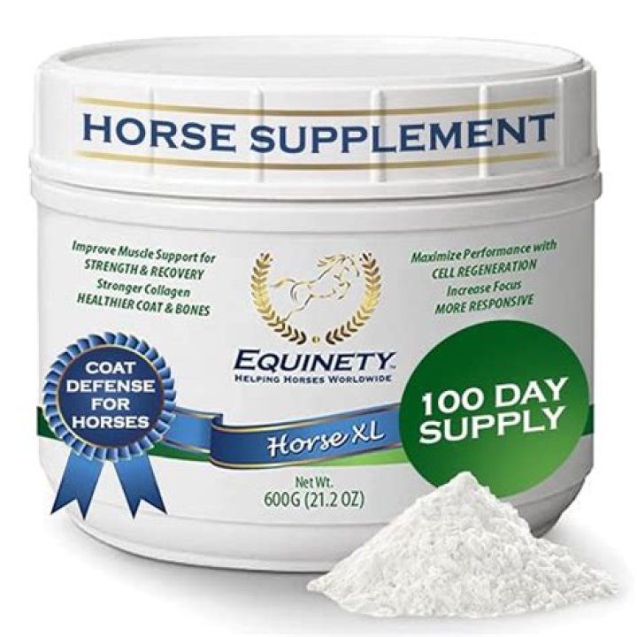 What is the best supplement for joints in horses?