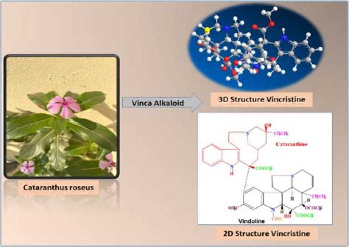 What is the chemical structure of vincristine?