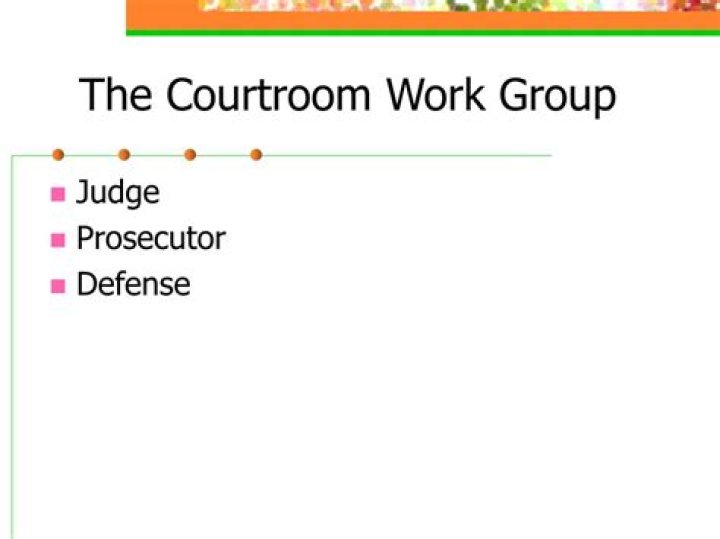 What is the courtroom work group and what does it do?