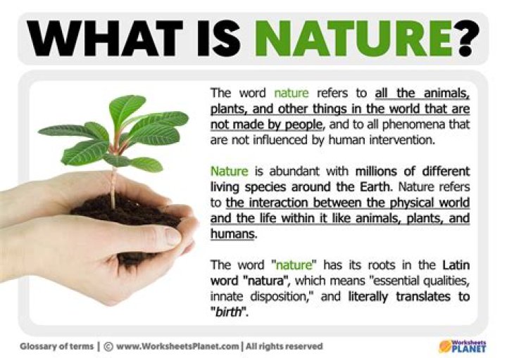 What is the definition of nosotros?