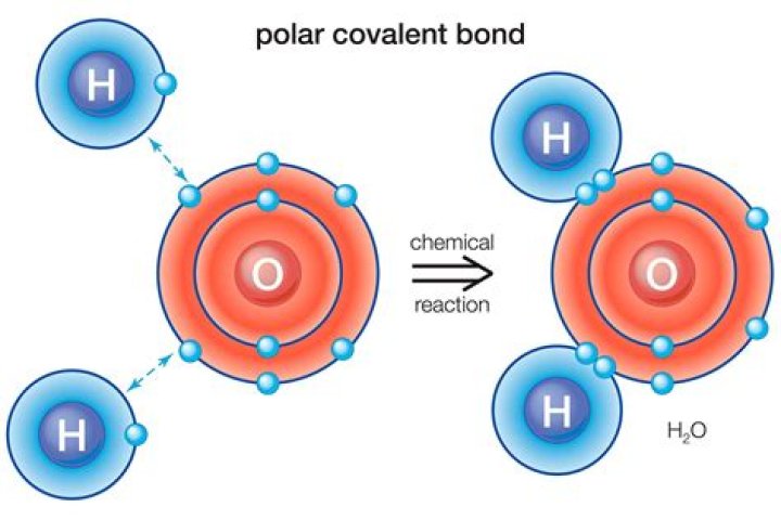 What is the difference between a polar bond and a polar molecule?
