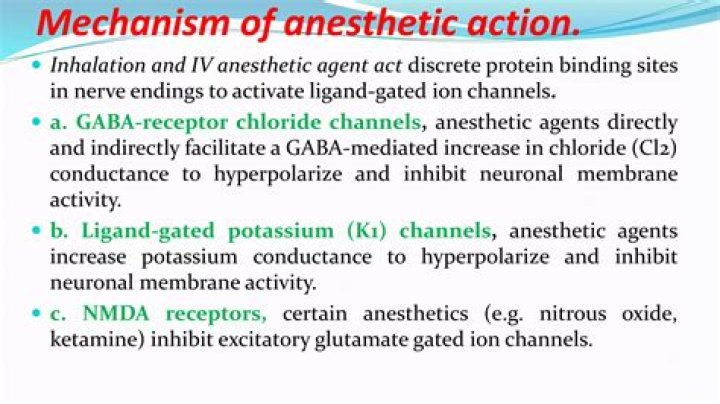 What is the mechanism of action of general anaesthetic?