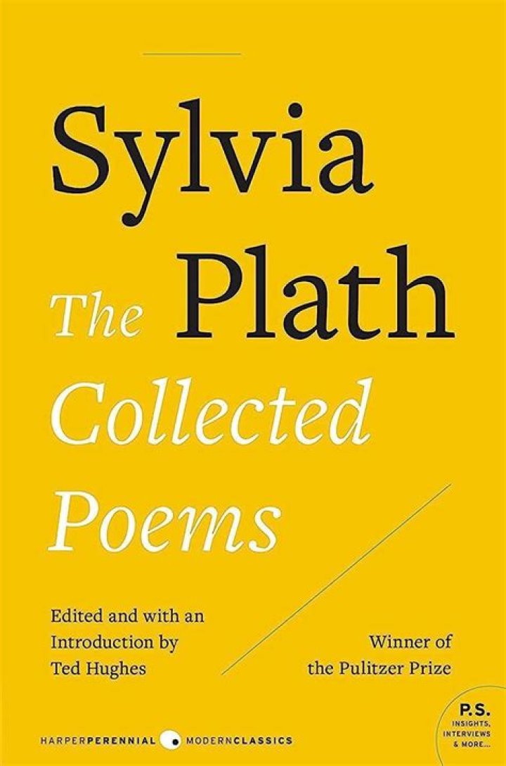 What is the poem words by Sylvia Plath about?