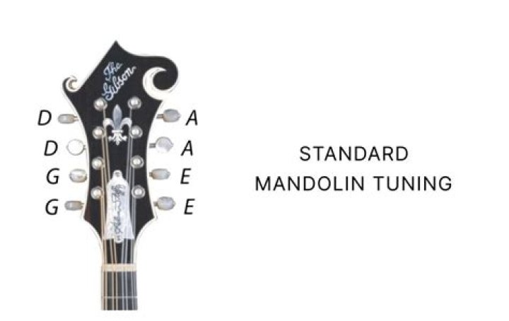 What is the proper tuning for A mandolin?
