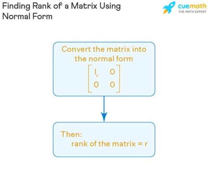 What is the rank of a matrix of order Mxn?