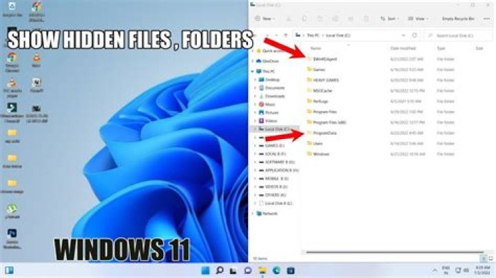 What is the shortcut to show hidden files?
