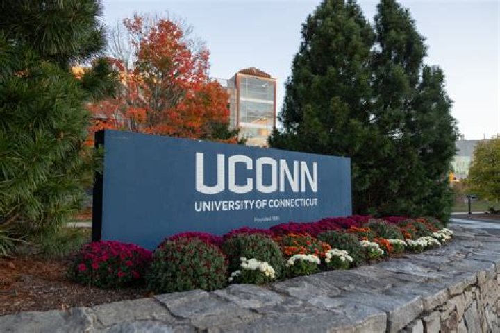 What is the Uconn address?