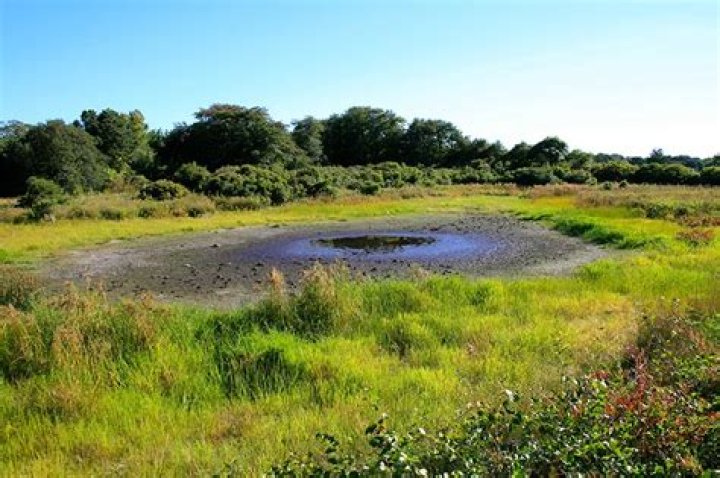 What makes a pond dry up?
