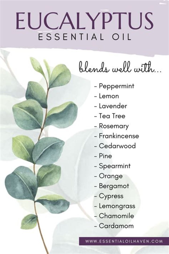 What mixes well with eucalyptus oil?