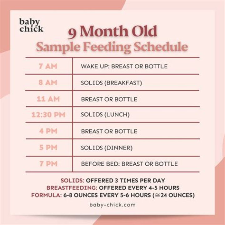 What should a 9 month old baby be eating daily?