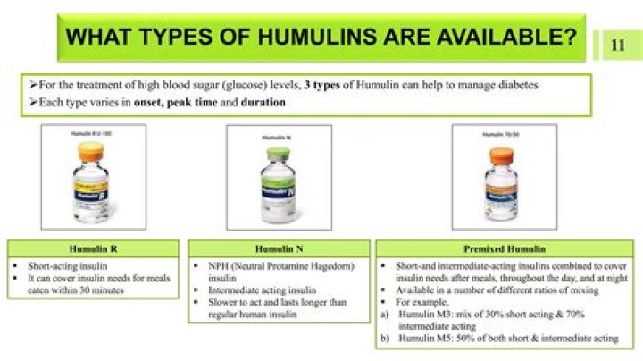 What type of insulin is Humulin S?