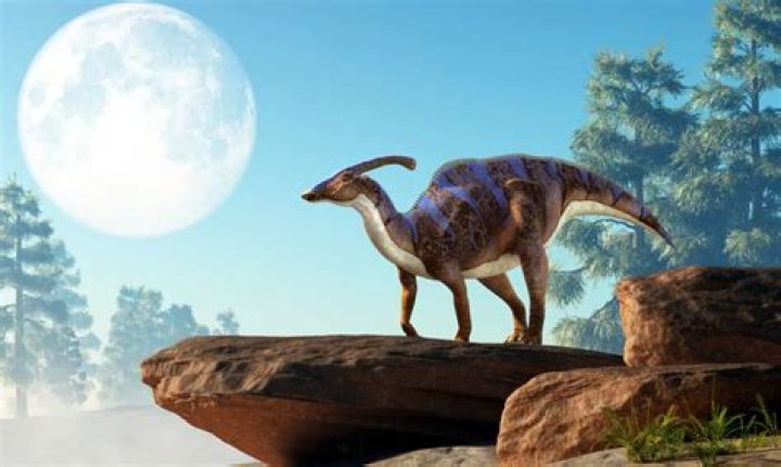What was the Parasaurolophus habitat?