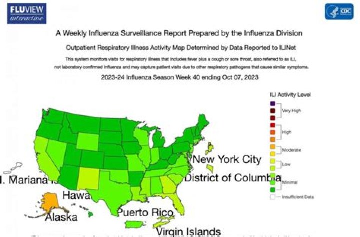 When was the last flu epidemic in the United States?