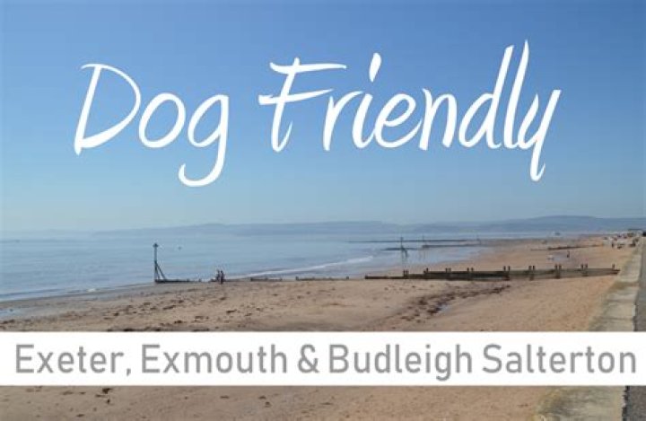 Where are dogs allowed in Exmouth?