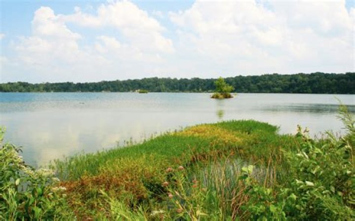 Where can you paddle in Indiana?