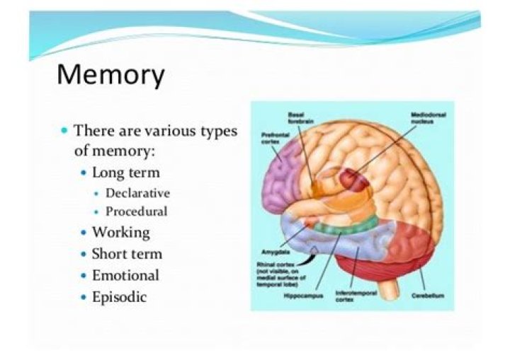 Where does episodic memory take place?