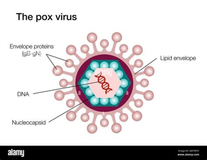 Where does the plum pox virus come from?