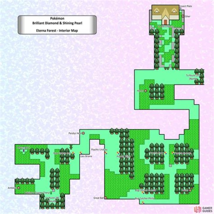 Where is the Eterna Forest?