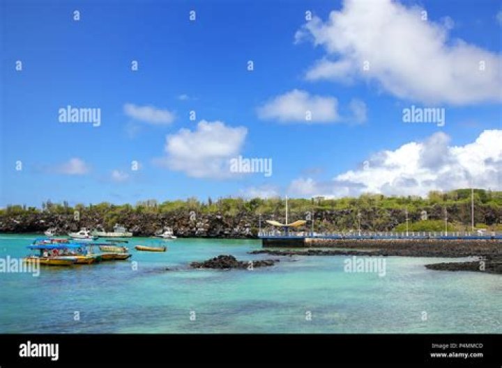 Which island is Puerto Ayora on?